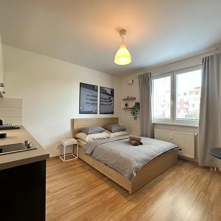 Cozy In The Wider Center *